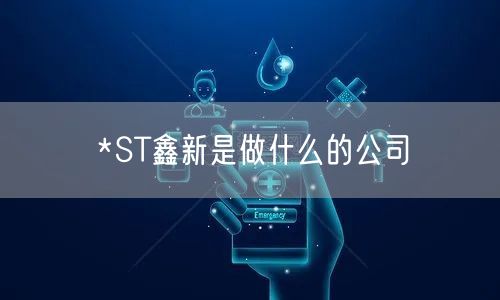 *ST鑫新是做什么的公司