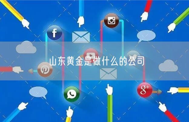 山东黄金是做什么的公司