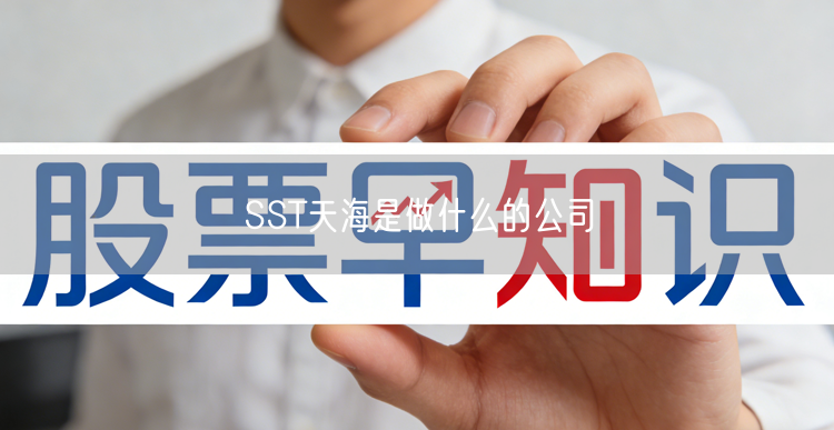 SST天海是做什么的公司