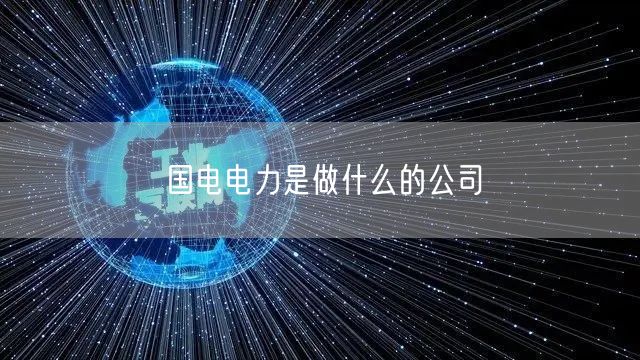 国电电力是做什么的公司