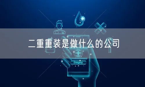 二重重装是做什么的公司
