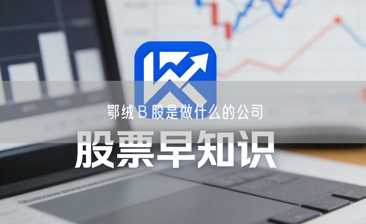 鄂绒Ｂ股是做什么的公司
