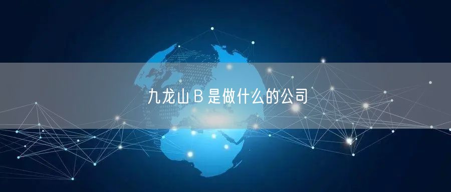 九龙山Ｂ是做什么的公司