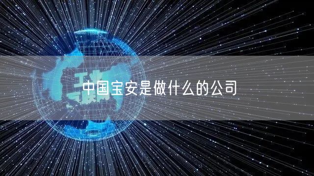 中国宝安是做什么的公司