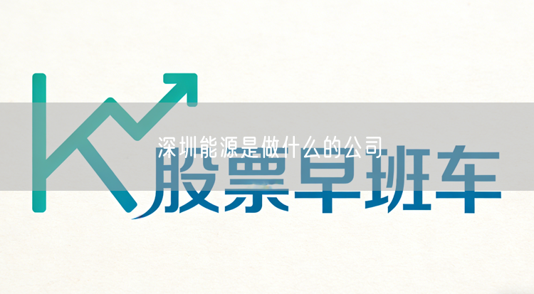 深圳能源是做什么的公司