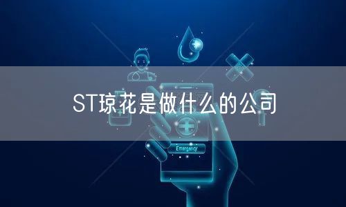 ST琼花是做什么的公司