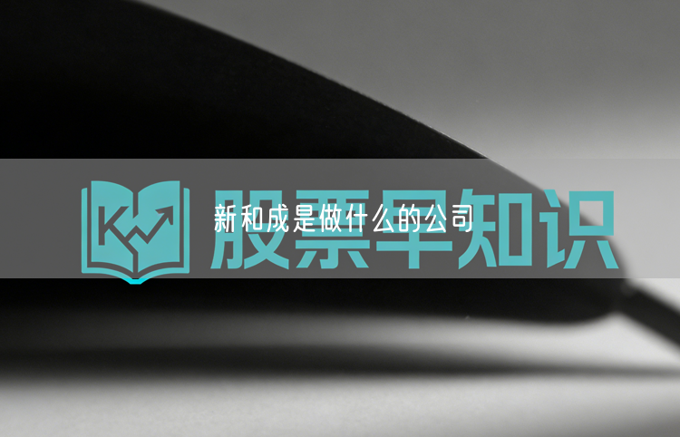 新和成是做什么的公司