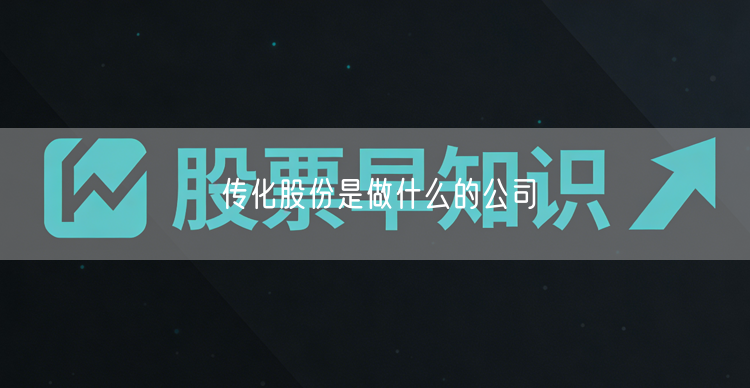 传化股份是做什么的公司