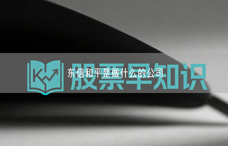 东信和平是做什么的公司