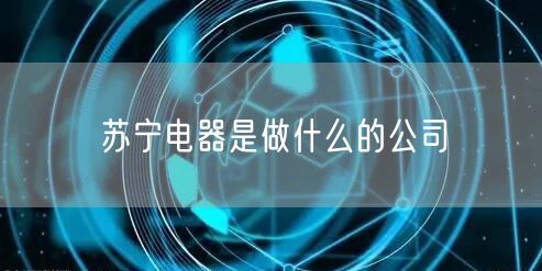 苏宁电器是做什么的公司