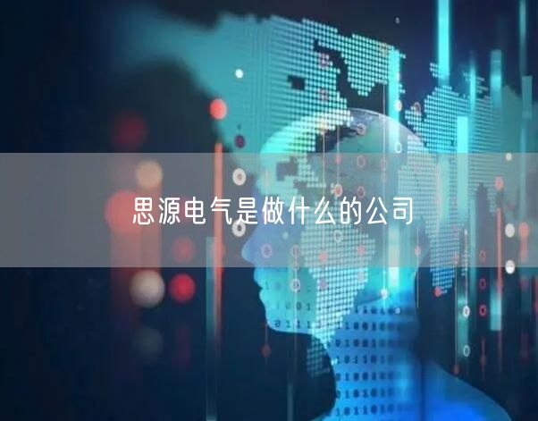 思源电气是做什么的公司