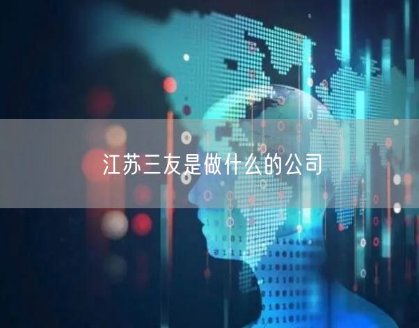江苏三友是做什么的公司