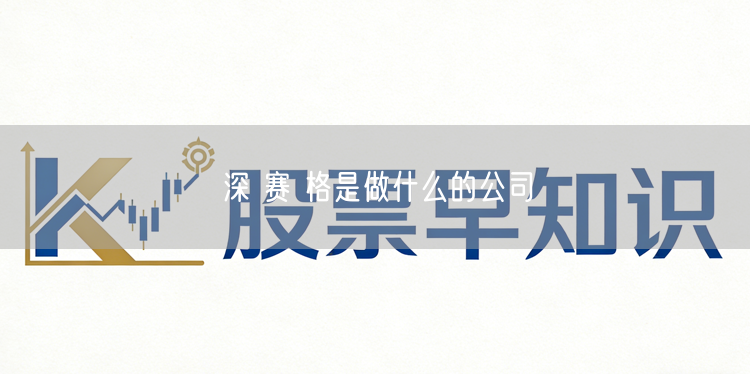 深 赛 格是做什么的公司
