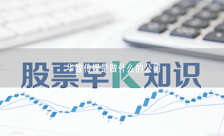 华数传媒是做什么的公司