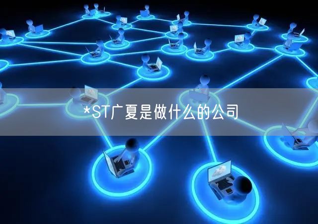 *ST广夏是做什么的公司