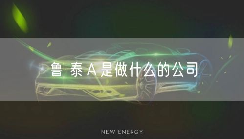 鲁 泰Ａ是做什么的公司