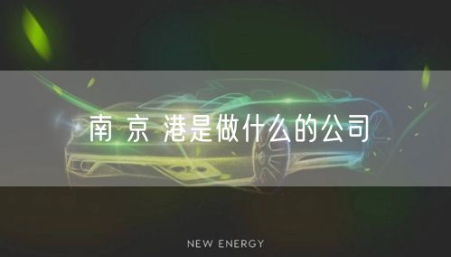 南 京 港是做什么的公司