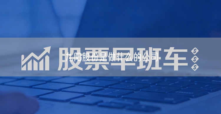 九阳股份是做什么的公司