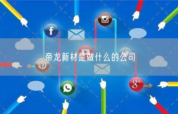 帝龙新材是做什么的公司