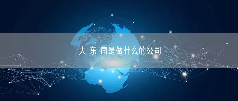 大 东 南是做什么的公司