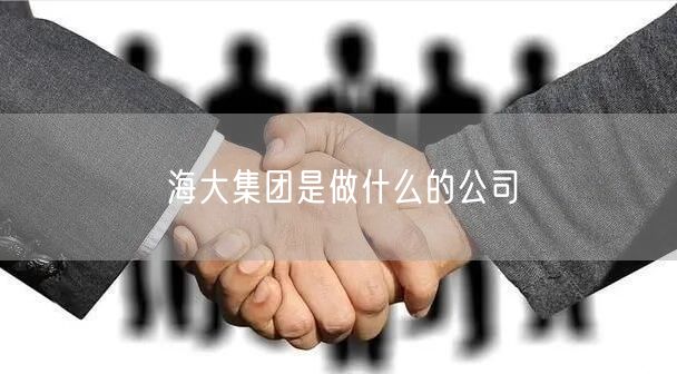 海大集团是做什么的公司