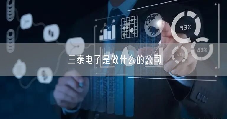 三泰电子是做什么的公司