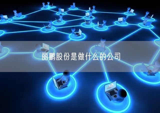 丽鹏股份是做什么的公司