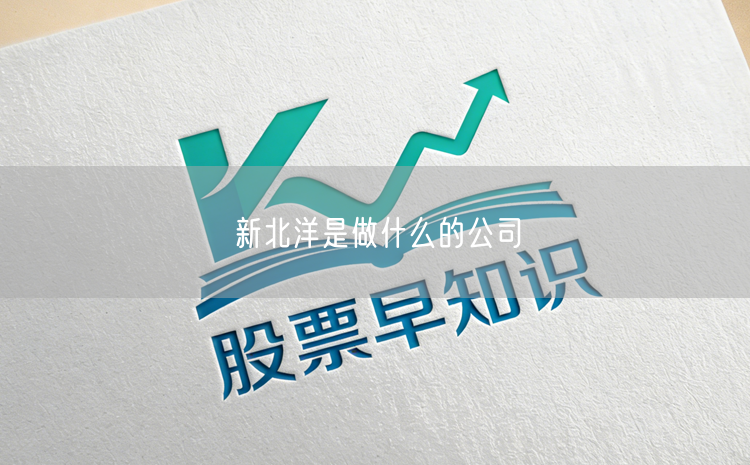 新北洋是做什么的公司