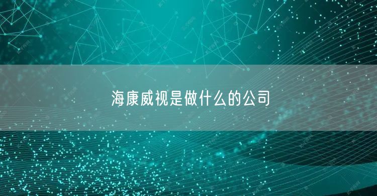 海康威视是做什么的公司