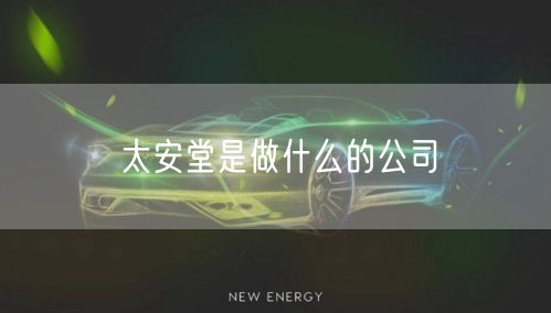 太安堂是做什么的公司