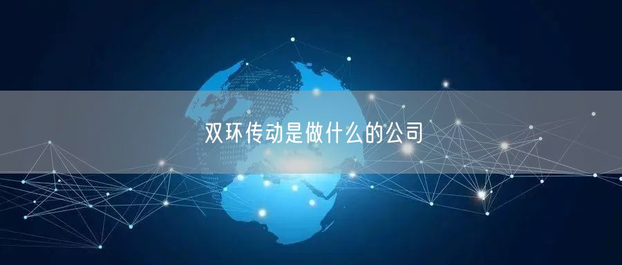 双环传动是做什么的公司