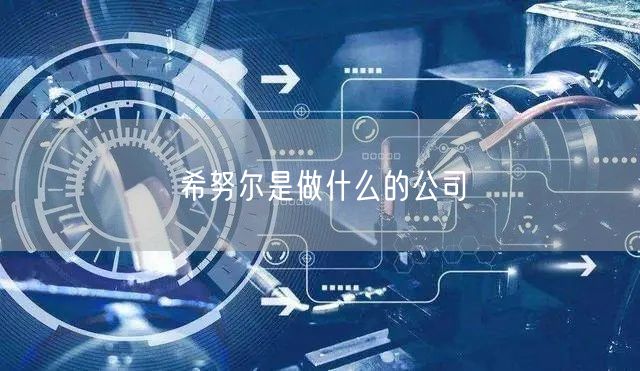 希努尔是做什么的公司