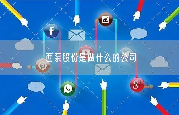 西泵股份是做什么的公司