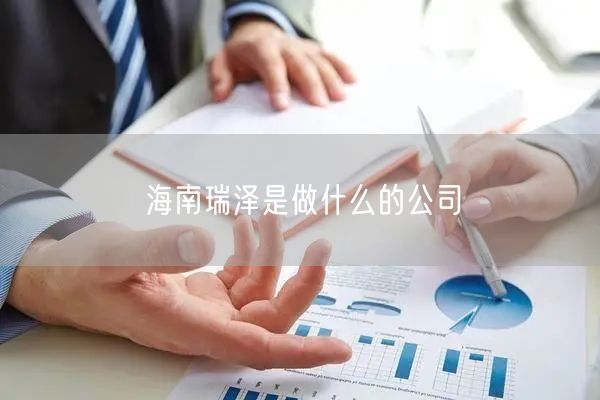 海南瑞泽是做什么的公司
