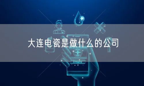 大连电瓷是做什么的公司