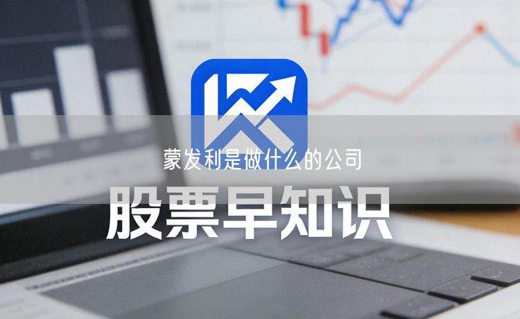 蒙发利是做什么的公司