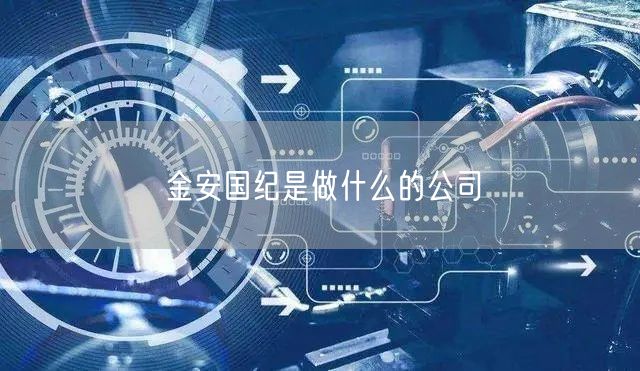 金安国纪是做什么的公司