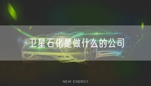 卫星石化是做什么的公司