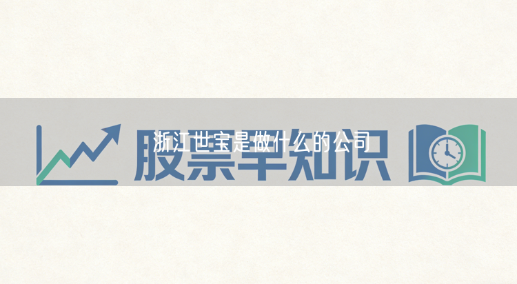 浙江世宝是做什么的公司