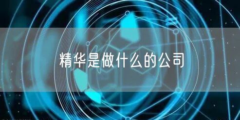 精华是做什么的公司