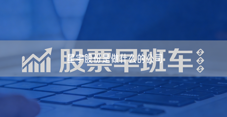 星宇股份是做什么的公司
