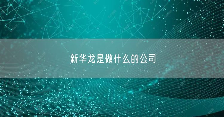 新华龙是做什么的公司