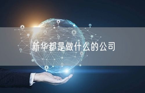 新华都是做什么的公司