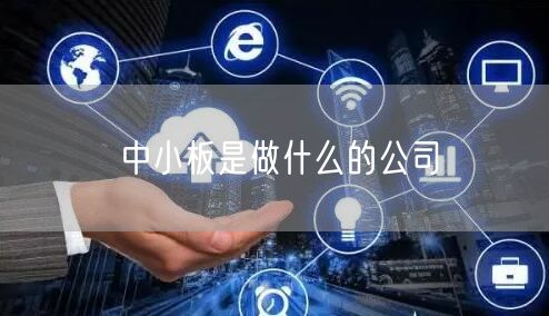 中小板是做什么的公司