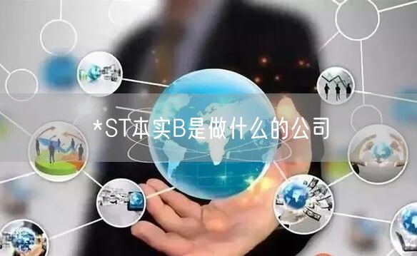 *ST本实B是做什么的公司