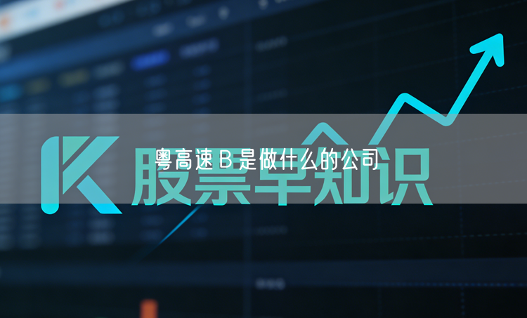 粤高速Ｂ是做什么的公司