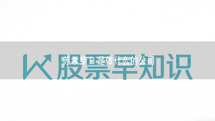 苏常柴Ｂ是做什么的公司