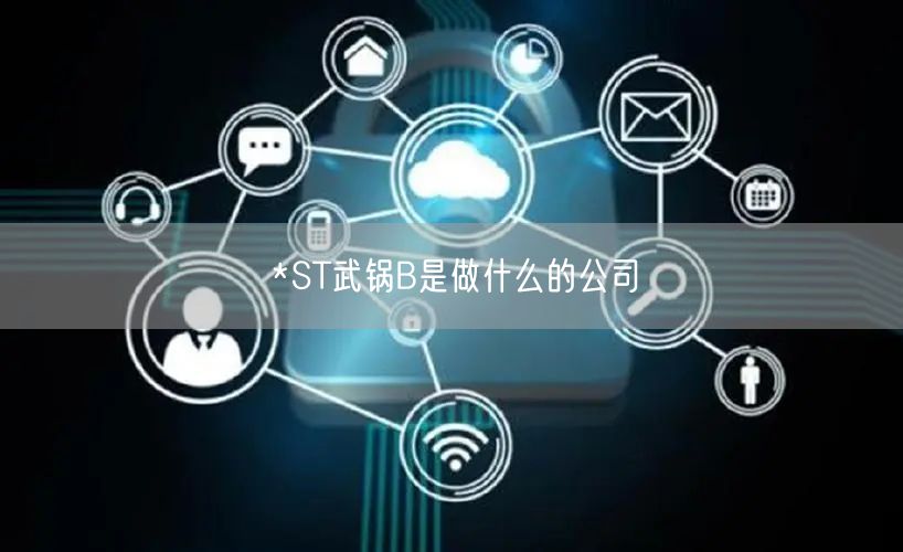 *ST武锅B是做什么的公司