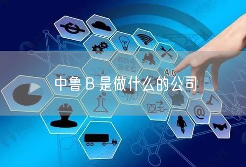 中鲁Ｂ是做什么的公司