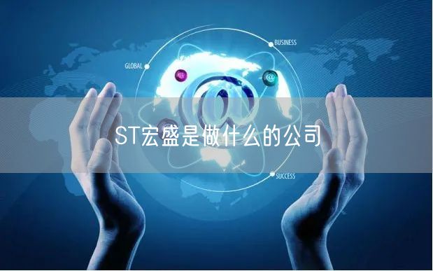 ST宏盛是做什么的公司